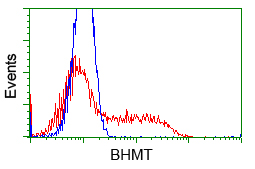 m06712 1 anti bhmt mouse monoclonal antibody clone id oti3e11 flow cytometry testing 5