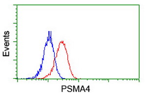Flow cytometric Analysis of Jurkat cells
