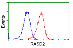 m06806 anti rasd2 mouse monoclonal antibody clone id oti1g1 flow cytometry testing 11