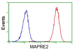 m06859 anti eb2 mapre2 mouse monoclonal antibody clone id oti7a2 flow cytometry testing 13