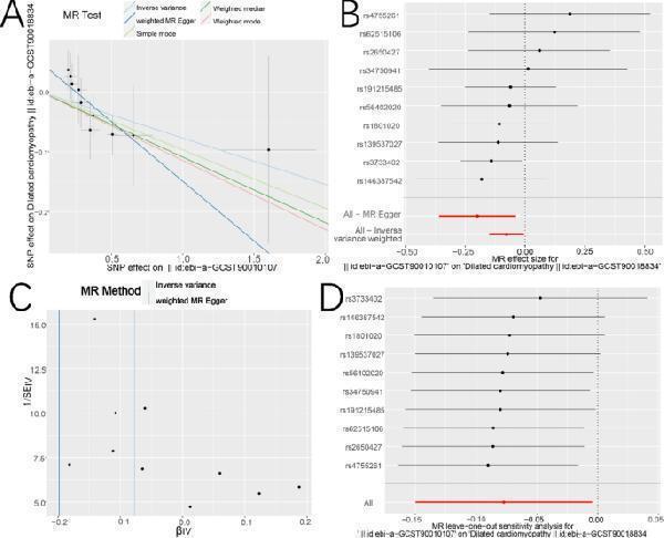 Mendelian randomization analysis between BMP6 and DCM
