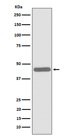 m06945 1 wb