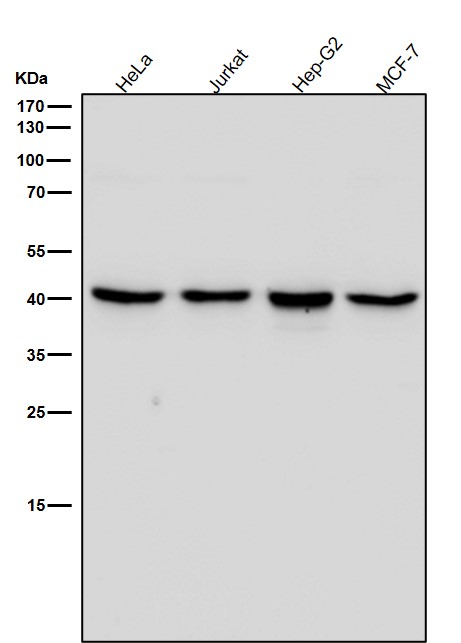 m06945 1 wb7