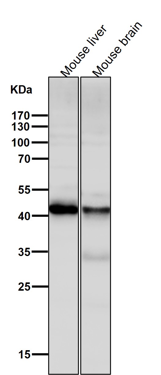 m06945 2 wb7
