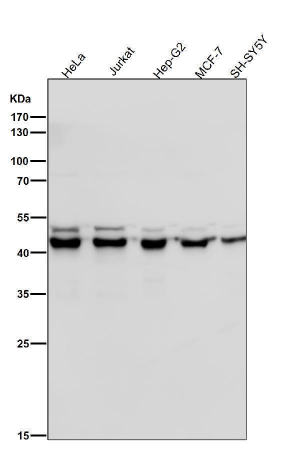 m06945 2 wb8