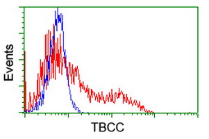 m06952 anti tbcc mouse monoclonal antibody clone id oti1g1 flow cytometry testing 2