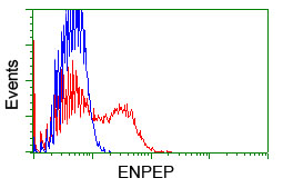 m06961 anti aminopeptidase a enpep mouse monoclonal antibody clone id oti4g8 flow cytometry testing 11