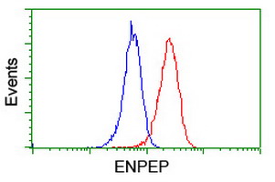 m06961 anti aminopeptidase a enpep mouse monoclonal antibody clone id oti4g8 flow cytometry testing 12