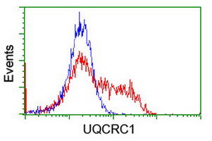 m06974 1 anti ubiquinol cytochrome c reductase core protein i uqcrc1 mouse monoclonal antibody clone id oti1g6 flow cytometry testing 11