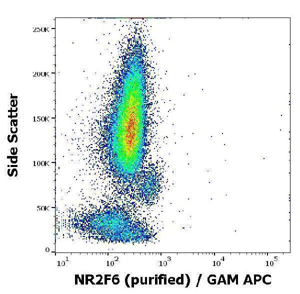 m06990 nr2f6 primary antibodies fc testing 2
