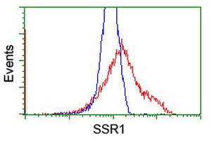 m06993 anti trap alpha ssr1 mouse monoclonal antibody clone id oti4c7 flow cytometry testing 13