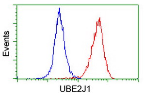 m07059 anti ubc6e ube2j1 mouse monoclonal antibody clone id oti3d1 flow cytometry testing 19