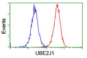 m07059 anti ubc6e ube2j1 mouse monoclonal antibody clone id oti3d1 flow cytometry testing 20