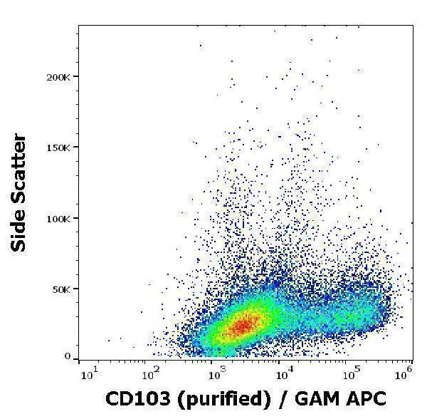 Flow cytometry surface staining pattern of human PHA stimulated peripheral blood mononuclear cells stained using anti-human CD103 (Ber-ACT8) purified antibody (concentration in sample 3 µg/ml, GAM APC)