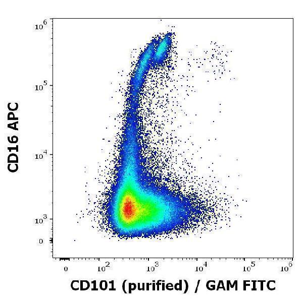 Flow cytometry multicolor surface staining of human lymphocytes stained using anti-human CD101 (BB27) purified antibody (concentration in sample 0,56 µg/ml, GAM FITC) and anti-human CD16 (3G8) APC antibody (10 µl reagent / 100 µl of peripheral whole blood)