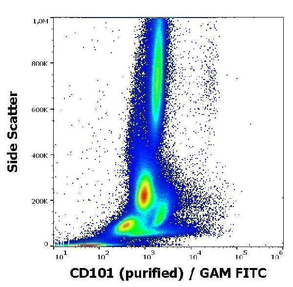 Flow cytometry surface staining pattern of human peripheral whole blood stained using anti-human CD101 (BB27) purified antibody (concentration in sample 0,56 µg/ml, GAM FITC)