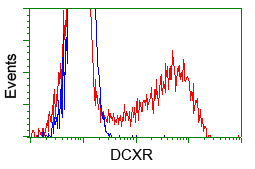 m07170 anti dcxr mouse monoclonal antibody clone id oti4d11 flow cytometry testing 3