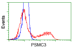 HEK293T cells transfected with either pCMV6-ENTRY PSMC3 (Red) or empty vector control plasmid (Blue) were immunostained with anti-PSMC3 mouse monoclonal (M07208)