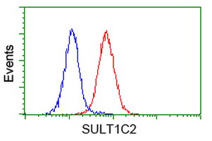 m07212 anti sult1c2 mouse monoclonal antibody clone id oti4g1 flow cytometry testing 16