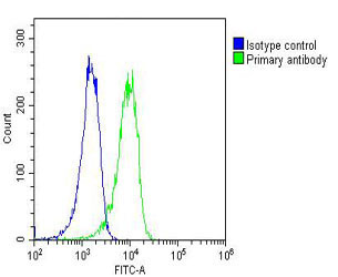 m07225 anti ryk antibody fc testing 2