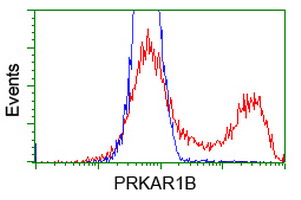 m07227 anti prkar1b mouse monoclonal antibody clone id oti2a3 flow cytometry testing 4