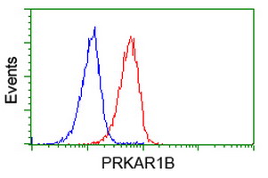 m07227 anti prkar1b mouse monoclonal antibody clone id oti2a3 flow cytometry testing 6