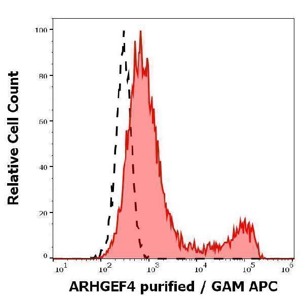 Separation of cells stained using anti-ARHGEF4 (ARHGEF-08) purified antibody (concentration in sample 4 µg/ml, GAM APC, red-filled) from cells unstained by primary antibody (GAM APC, black-dashed) in flow cytometry analysis (intracellular staining) of ARHGEF4 transfected HEK-293 cell suspension