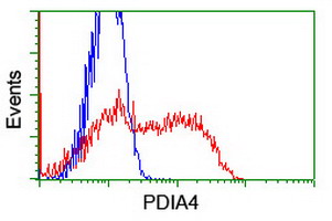 m07267 1 anti erp72 pdia4 mouse monoclonal antibody clone id oti2e2 flow cytometry testing 3