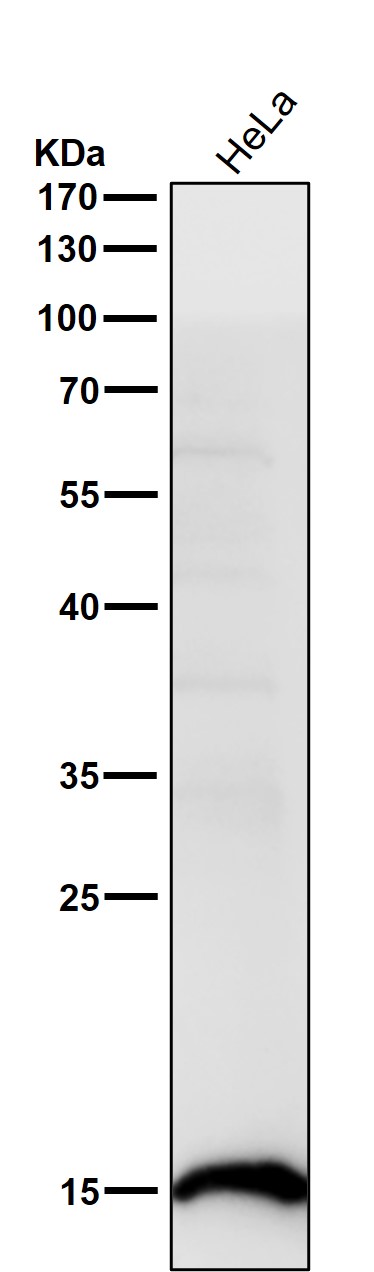 m07286 6 wb8
