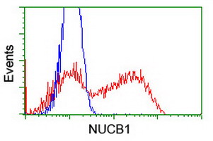 m07305 anti nucleobindin 1 nucb1 mouse monoclonal antibody clone id oti1a5 flow cytometry testing 5