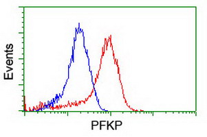 m07337 1 anti pfkp mouse monoclonal antibody clone id oti1f2 flow cytometry testing 15