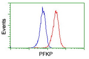 m07337 1 anti pfkp mouse monoclonal antibody clone id oti1f2 flow cytometry testing 16