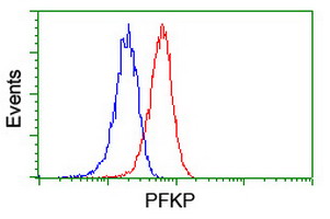 m07337 2 anti pfkp mouse monoclonal antibody clone id oti1d6 flow cytometry testing 13