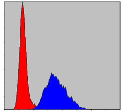 m07355 tnni2 primary antibodies fcm testing 1