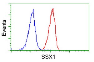 m07363 anti ssx1 mouse monoclonal antibody clone id oti2f8 flow cytometry testing 10