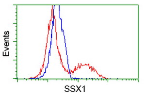 m07363 anti ssx1 mouse monoclonal antibody clone id oti2f8 flow cytometry testing 8