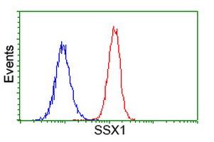 m07363 anti ssx1 mouse monoclonal antibody clone id oti2f8 flow cytometry testing 9