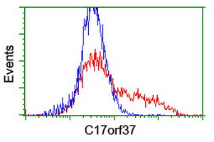 m07379 anti xtp4 mien1 mouse monoclonal antibody clone id oti2d2 flow cytometry testing 11