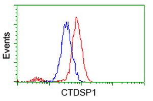 m07398 2 anti ctdsp1 mouse monoclonal antibody clone id oti1a10 flow cytometry testing 2