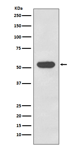m07410 1 wb