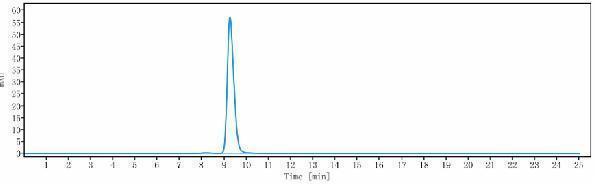 The purity of Anti-GFRA3 Reference Antibody (nadecnemab)is more than 95%