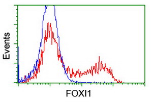 m07512 anti foxi1 mouse monoclonal antibody clone id oti1d4 flow cytometry testing 4