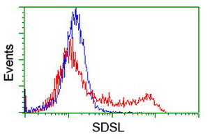 m07606 anti sdsl mouse monoclonal antibody clone id oti1a8 flow cytometry testing 7