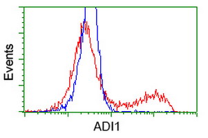 HEK293T cells transfected with either ADI1 (Myc-DDK-tagged) overexpress plasmid (Red) or empty vector control plasmid (Blue) were immunostained by anti-ADI1 antibody (M07662-1)