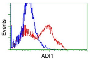 HEK293T cells transfected with either ADI1 (Myc-DDK-tagged) overexpress plasmid (Red) or empty vector control plasmid (Blue) were immunostained by anti-ADI1 antibody (M07662)
