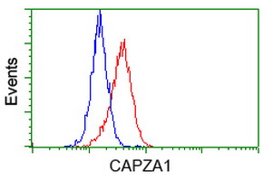 m07665 1 anti capza1 mouse monoclonal antibody clone id oti7c8 flow cytometry testing 3