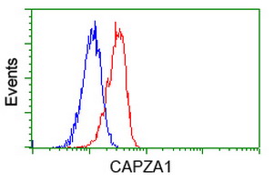 m07665 anti capza1 mouse monoclonal antibody clone id oti2g4 flow cytometry testing 6