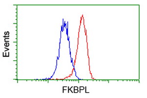 m07684 anti fkbpl mouse monoclonal antibody clone id oti2d8 flow cytometry testing 6