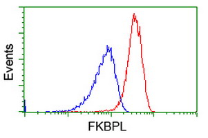 m07684 anti fkbpl mouse monoclonal antibody clone id oti2d8 flow cytometry testing 7
