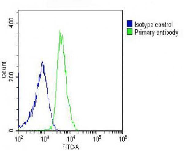 m07781 anti rpl14 antibody center fc testing 3